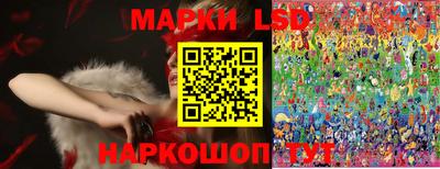 spice Донецк