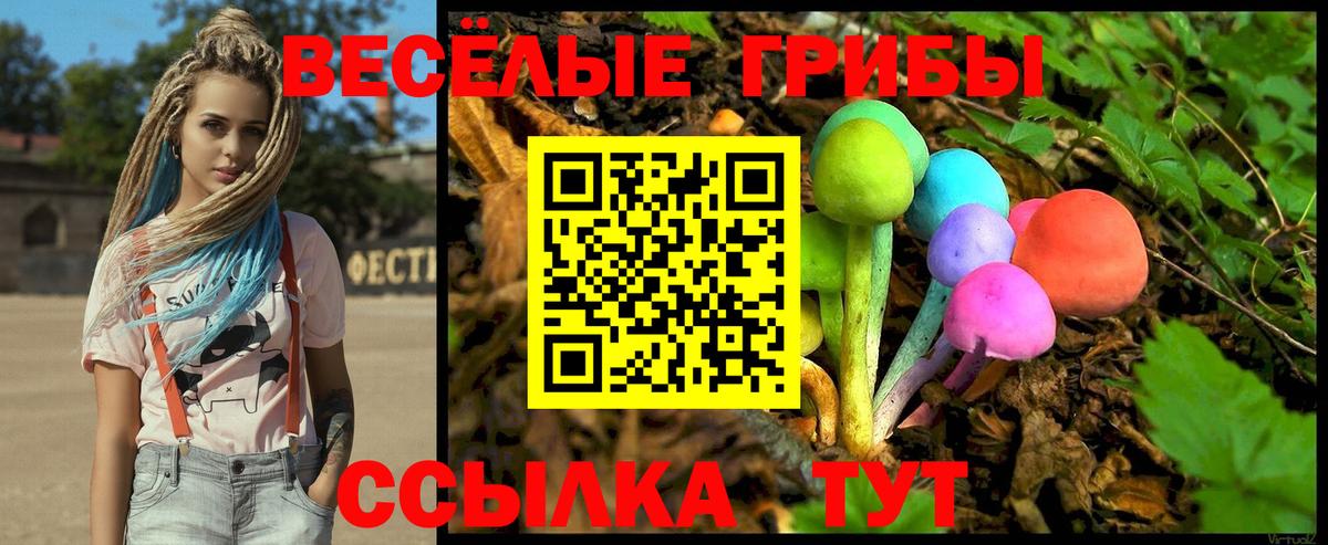 Галлюциногенные грибы прущие грибы  Вход с VPN  Михайловск  Галлюциногенные грибы Cubensis 