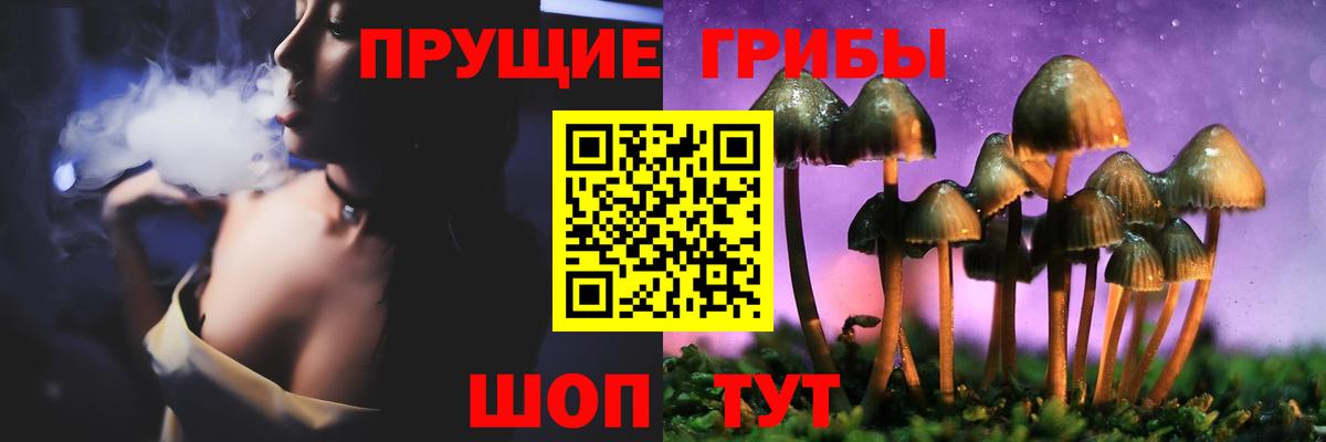 Галлюциногенные грибы Psilocybe Михайловск